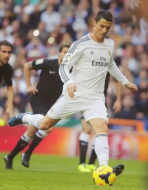 以期他们能 以期他们能