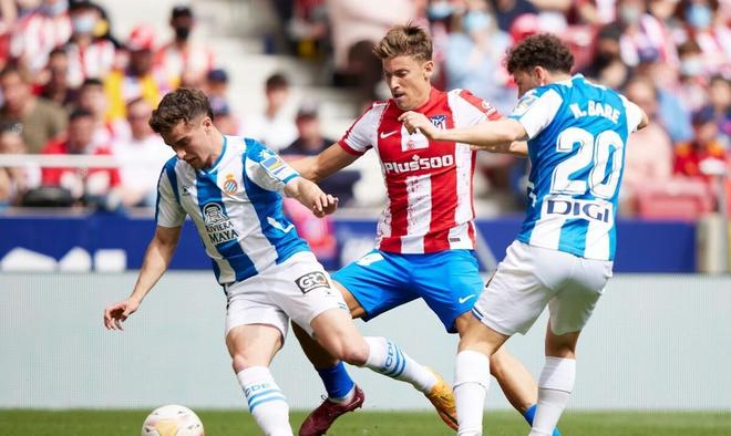 高的要求 高的要求