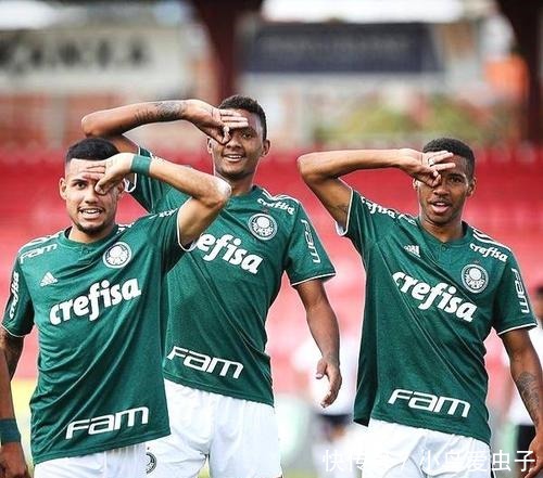 并开始引入 并开始引入