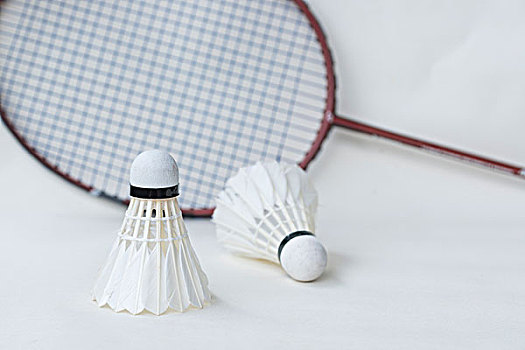 因素之一 因素之一