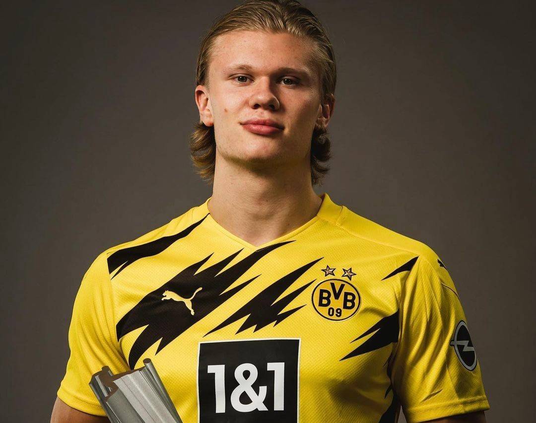 布翁焦尔诺 布翁焦尔诺